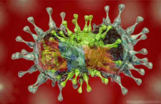     ДЕЛЬТА ВИРУС ИЛРҮҮЛЖ ЧАДДАГГҮЙ ДЭЛХИЙН ШИВШИГ МОНГОЛ 