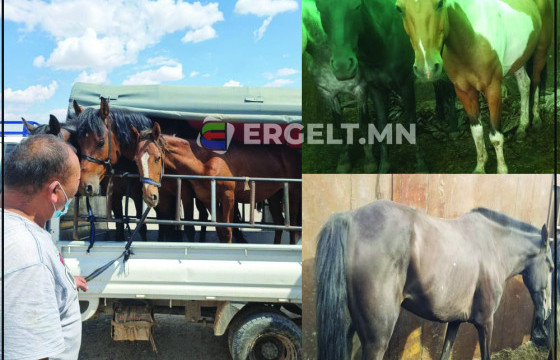 Л.Эрдэнэчулуун: 