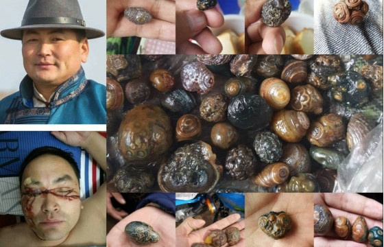 Б.ӨСӨХБАЯР: Засаг дарга маань өнгөт чулуу түүгчидтэй тэмцэж байгаад баруун нүд нь гэмтэж, хөдөлмөрийн чадвараа алдсан