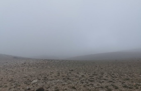 Малд яваад төөрсөн хоёр охины ЭЭЖ: Охид минь нимгэн хувцастай явсан болохоор даарч, шөнөжин уйлсан байна лээ