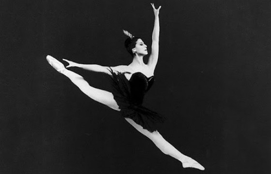 Хонгорхон Майя минь