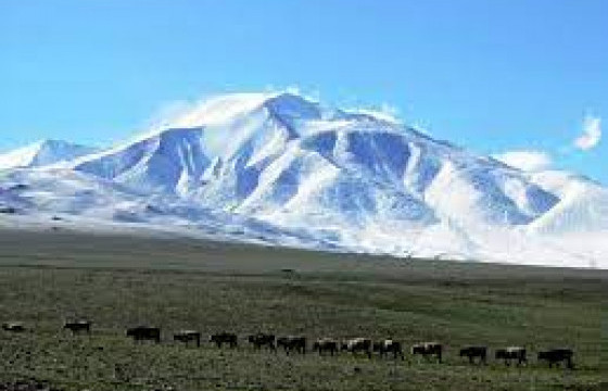 Цамбагарав уулын цас нурж, аялагчид усанд боогджээ