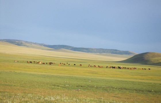 Дуулж угтдаг, уйлж үддэг Арангатын хөндий минь