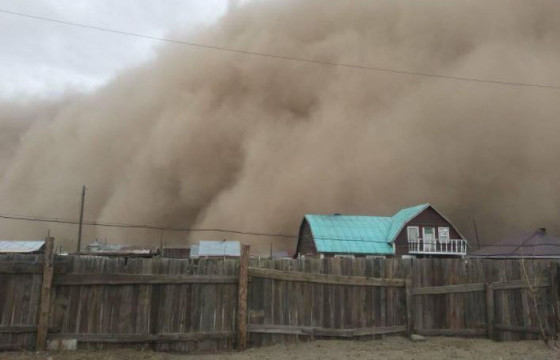 Гамшиг, осол өнгөрсөн жилтэй харьцуулахад зургаа дахин өссөн байна