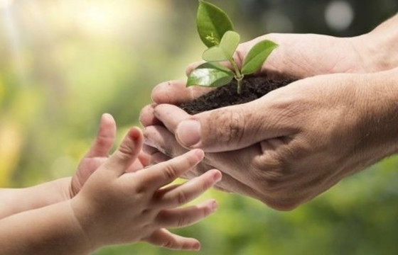 Наймдугаар сарыг тогтвортой хөгжлийг дэмжих сар болгон зарлалаа
