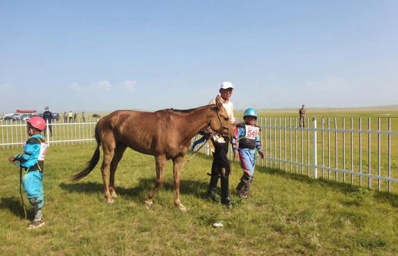 Зүүн бүсийн хурдад Алдарт уяач П.Батсайханы хүрэн халзан соёолон түрүүлжээ
