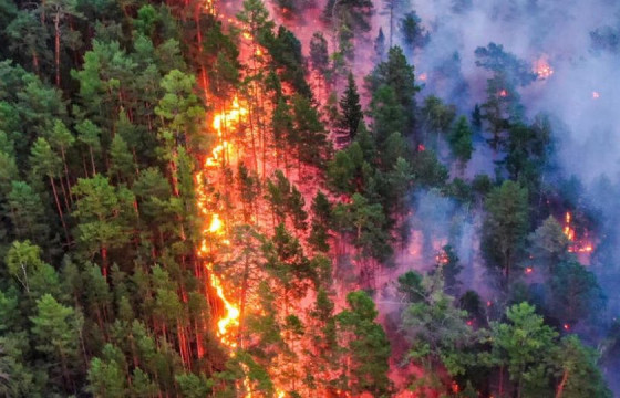 СЭРЭМЖЛҮҮЛЭГ: Монгол Улсад нийт 122.6 га талбай түймэрт өртжээ