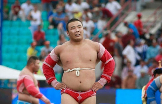 Монгол Улсын харцага Д.Анар уучлал хүсчээ