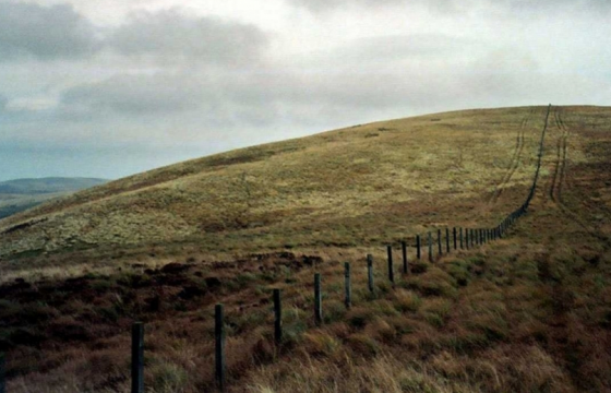 Хилийн цэргийн 0146 дугаар ангийн офицер амиа алджээ