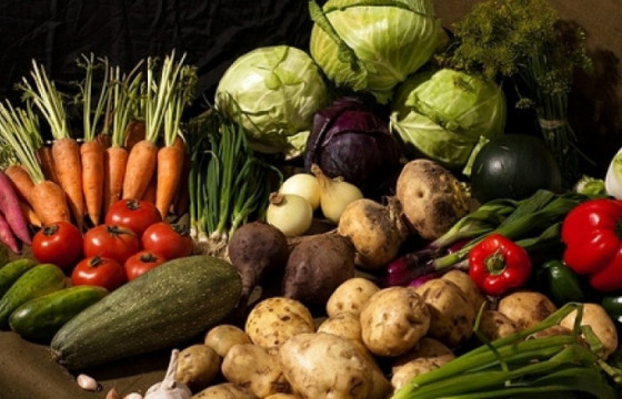  15 байршилд хүнсний ногооны үзэсгэлэн гарчээ