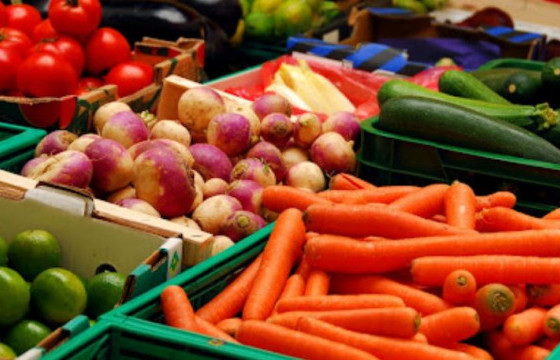 Нийслэлийн 15 байршилд хүнсний ногооны үзэсгэлэн худалдаа зохион байгуулагдаж байна