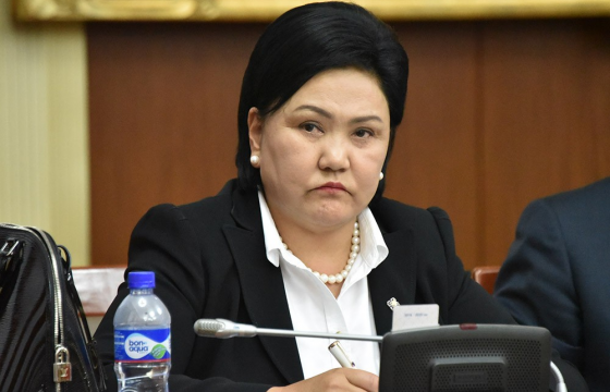 Хөшигийн хөндийн бүтээн байгуулалтын бүрэн эрхт төлөөлөгчөөр Д.Оюунхоролыг томилжээ