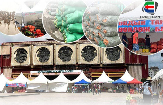 НОГООЧИД: Иргэдийн худалдан авах чадвар муу байна, зарим хүнсний ногооны үнээ буулгахаас өөр арга алга