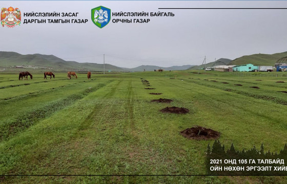  Нийслэлийн хэмжээнд 105 га талбайг нөхөн сэргээжээ