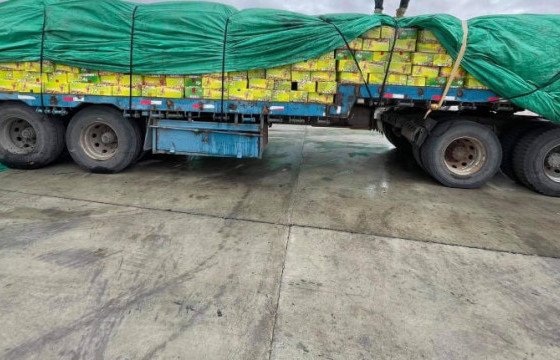 16 тонн хатаасан үзмийг нуун дарагдуулж, улсын хил нэвтрүүлэхийг завджээ