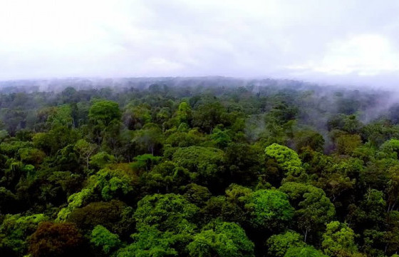 ОБЕГ: Жимсэнд яваад сураггүй болсон сэтгэцийн өөрчлөлттэй эмэгтэйг олоогүй