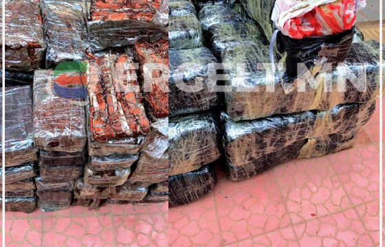 Автомашиндаа 574 килограмм адууны өлөн гэдэс нууж, улсын хилээр гаргахыг завджээ