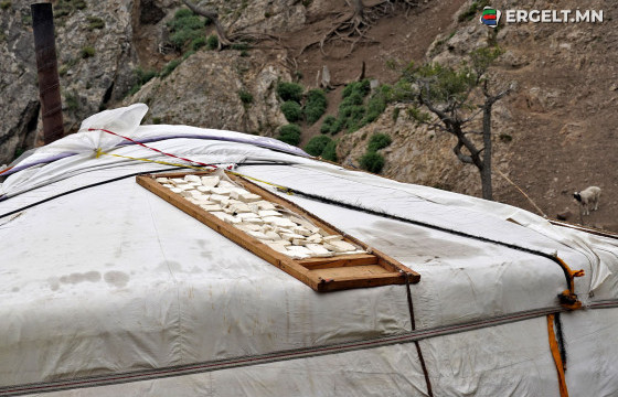 ФОТО СУРВАЛЖИЛГА: Тогоо нэрэх цагаар тоонот гэрт зочилсон нь