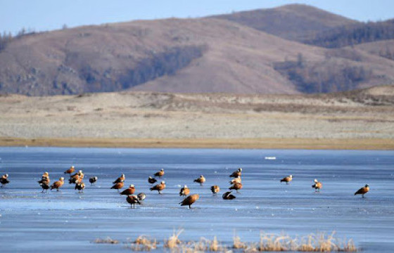 Омголон, дэврүүн залуу нас бид хоёр таныг хачин ихээр санаж байна, нутаг минь...