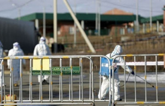 Баян-Өлгий аймгийн Дэлүүн суманд шүлхий өвчин гарч, хорио тогтоожээ