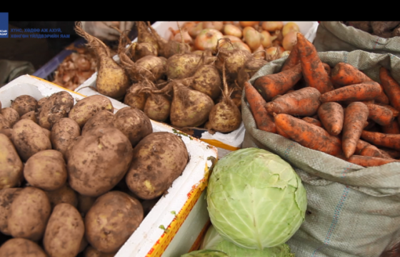 Улаанбуудай, төмсний хэрэгцээг дотоодоос 100 хувь хангах боломж бүрджээ