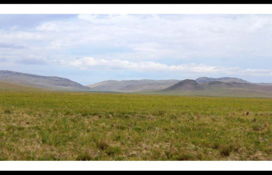 Айл руу цагаан идээ хүргэхээр яваад, сураггүй болсон эмэгтэйг олоогүй байна