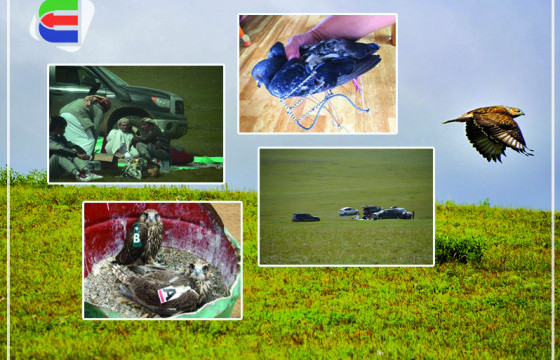 Арабуудын өргөст торон урхинд нэвт сүлбүүлсэн шонхрын эмгэнэл - I