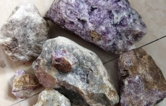 10 килограмм байгалийн чулуу хил давуулахыг завджээ