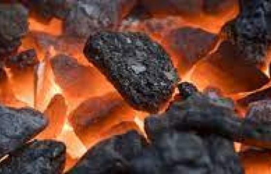 Энэ сарын 11, 12-нд “Өнтэй өвөлжье” өдөрлөг болно