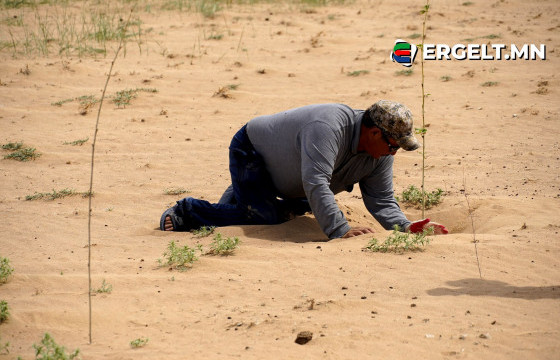 Б.МӨНХ: 30 жилийн дараа ач хүүгээ элсэн дунд биш, ойн төгөлд салхилаасай гэсэндээ би цөлжилттэй тэмцэж байна