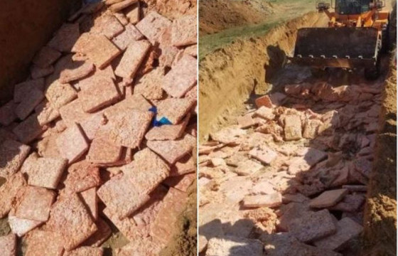 Замын-Үүдэд 25 тонн муудсан тахианы махыг устгав