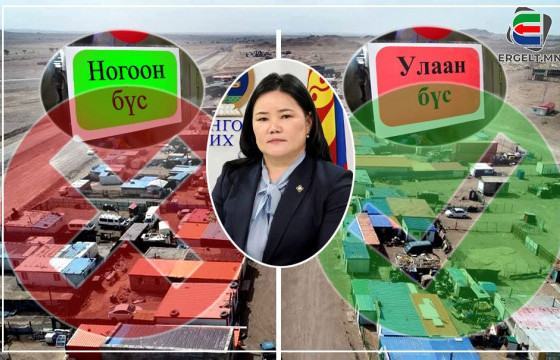 Н.Амарзаяагийн удирдаж байгаа Цагаан хадны үнэн төрх