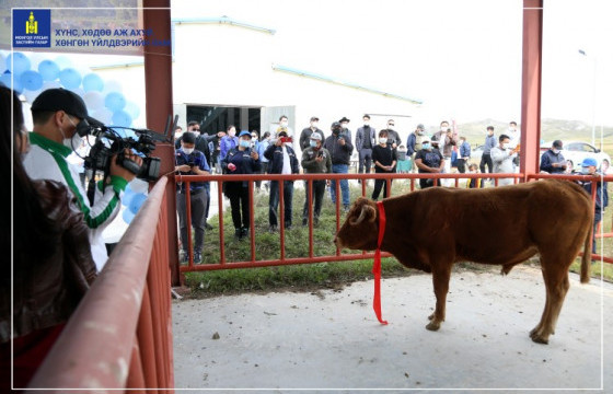 Малын дуудлага худалдаа болжээ 