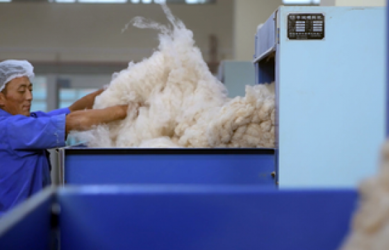 Мал амьтдын тав тух, малчдын баталгаат амьжиргааг дэмжсэн хариуцлагатай ноолуурын салбарынхан виртуал орчинд чуулж байна