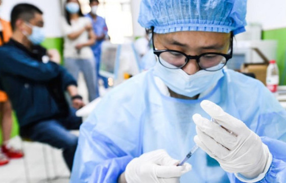 Сахуу татран, томуу томуу төст өвчний вакцин хийж байна