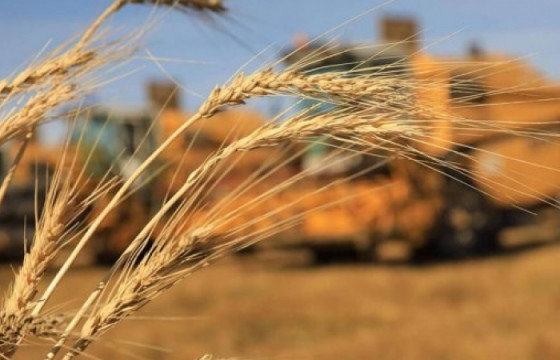 Хөдөө аж ахуйг дэмжих санд авах хүнсний улаанбуудайн үнийг тогтоов