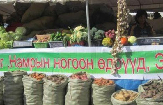 Намрын ногоон өдрүүд 2021 нэгдсэн арга хэмжээ Төв цэнгэлдэх хүрээлэнд эхэллээ