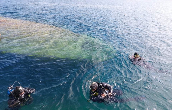  Алба хаагчид Хөвсгөл нуурт живсэн техник хэрэгсэл илрүүлэх бэлтгэлээ хангаж байна