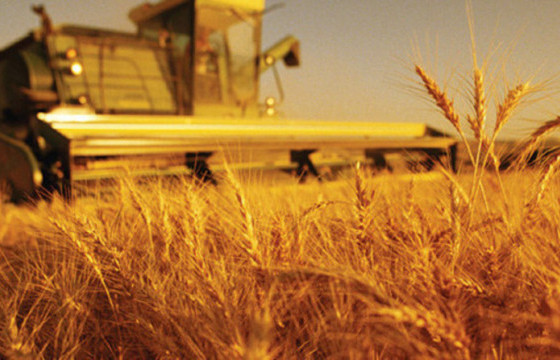 ТОДРУУЛГА: Тариалангийн бүс нутгаар ойрын өдрүүдэд цаг агаар тогтуун байна