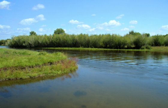 52 настай эрэгтэй Хэрлэн голд осолдож, амиа алджээ