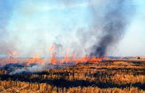 Өвөрхангай аймагт  хээрийн түймэр гарч 10 га газар шатжээ