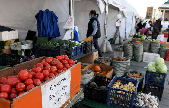 “Намрын ногоон өдрүүд” арваннэгдүгээр сарын 1-нийг хүртэл үргэлжилнэ