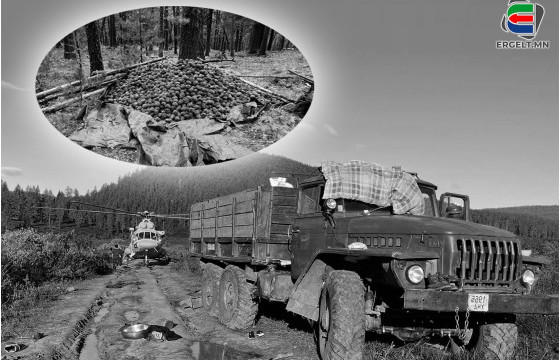 Хөвч тайгад төөрсөн Д.ДОРСМАА бүсгүйн АМЬДРАХ, АМЬД ГАРАХЫН ТӨЛӨӨХ 129 ХОНОГИЙН ТЭМЦЭЛ