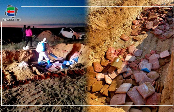 Импортын мэдэгдэлгүй 10 тонн тахианы махан таташ хилээр нэвтрүүлэх гэж байсныг илрүүлж, устгажээ