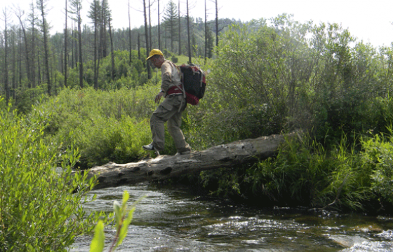 Хөвч тайгад төөрсөн Д.ДОРСМАА бүсгүйн АМЬДРАХ, АМЬД ГАРАХЫН ТӨЛӨӨХ 129 ХОНОГИЙН ТЭМЦЭЛ-III