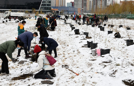 Үндэсний цэцэрлэгт хүрээлэнд хоёр өдөрт 3000 мод тарина