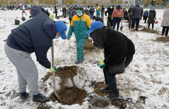 Үндэсний цэцэрлэгт хүрээлэнд 3000 мод тарьж байна