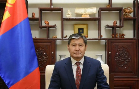 Элчин сайд Т.Бадрал Мандал, Ганцмод, Өлзий, Сэхээ боомтын удирдлагуудтай уулзана