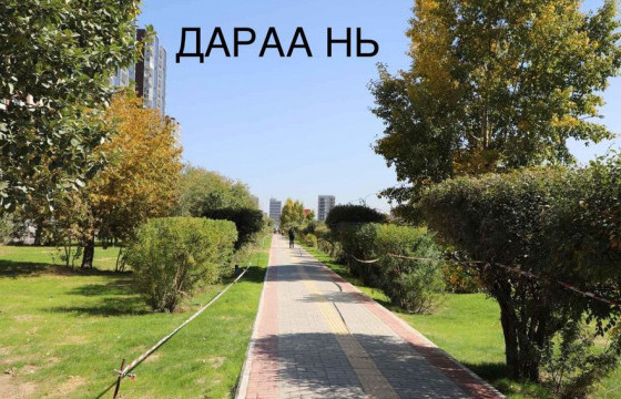 “Барс” захын арын цэцэрлэгт 120 мод тарьжээ