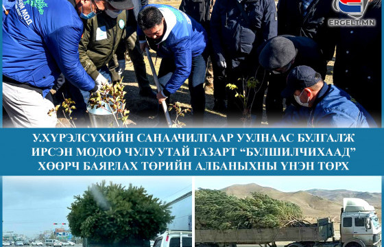 У.Хүрэлсүхийн санаачилгаар уулнаас булгалж ирсэн модоо чулуутай газарт “булшилчихаад” хөөрч баярлах төрийн албаныхны үнэн төрх